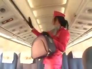 Inviting stewardessen sugande manhood före cunnilingus