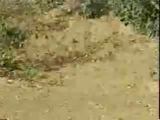 Horney collage kotor video dalam ladang - jp spl