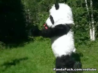 Sarkans jāšana kapuce fucked līdz panda