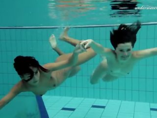Dois tentador adolescentes em o piscina